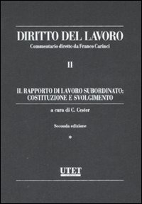 Diritto del lavoro. Vol. 2: Il rapporto di lavoro subordinato: costituzione e svolgimento