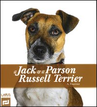 Il Jack & il Parson Russel Terrier