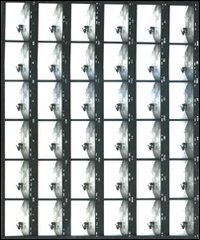 Ugo Mulas. Vitalità del negativo