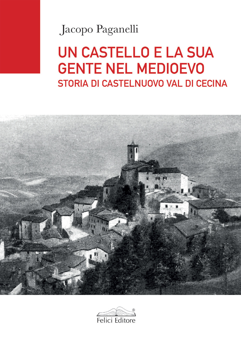 Un castello e la sua gente nel Medioevo. Storia di Castelnuovo val di Cecina