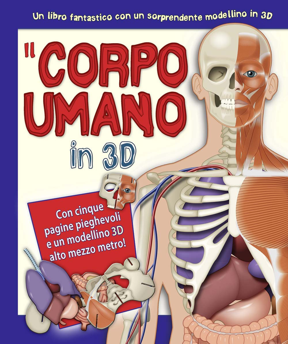 Il corpo umano in 3D