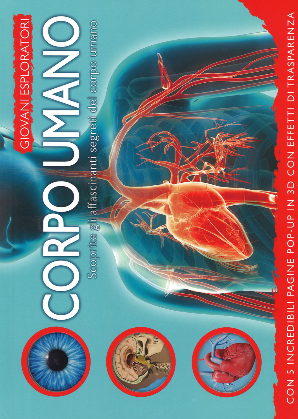 Corpo umano. Scoprite gli affascinanti segreti del corpo umano