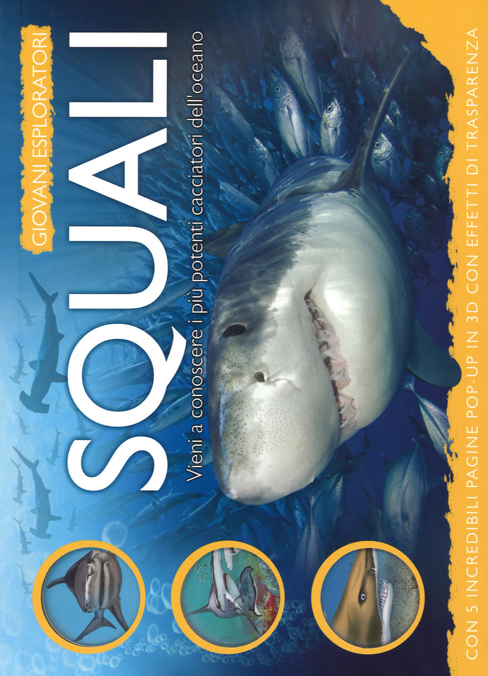 Squali. Vieni a conoscere i più potenti cacciatori dell'oceano