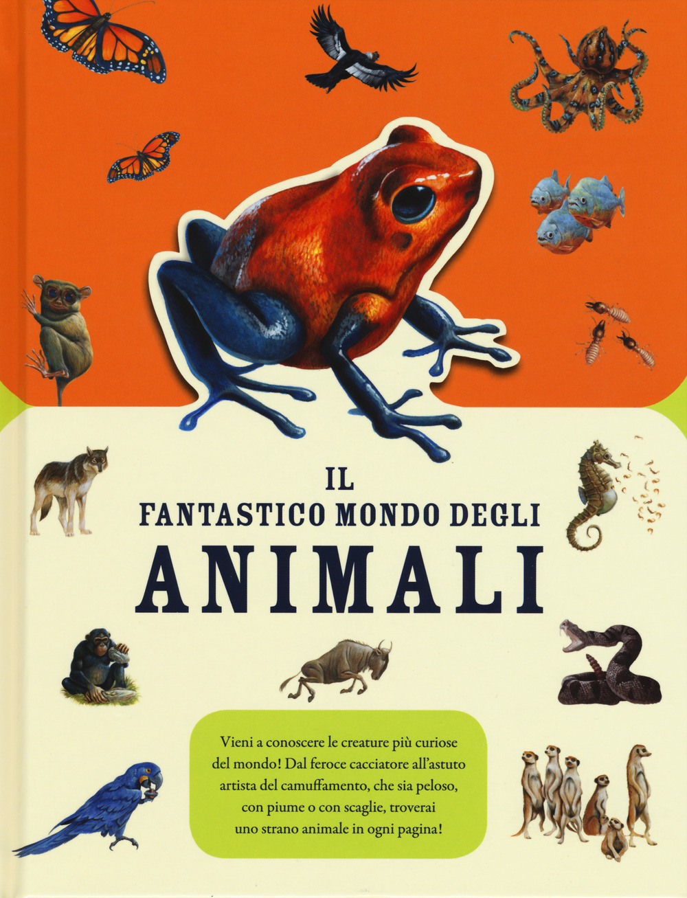 Il fantastico mondo degli animali