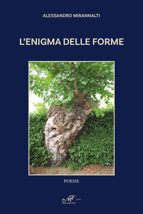 L'enigma della forma