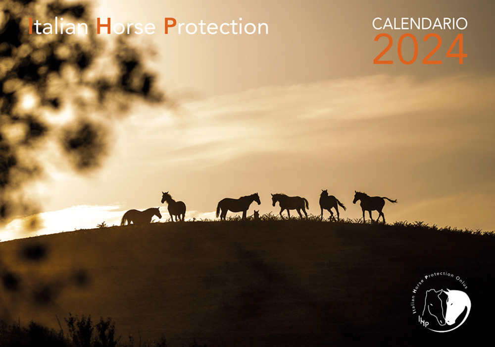 Legàmi. Calendario 2024