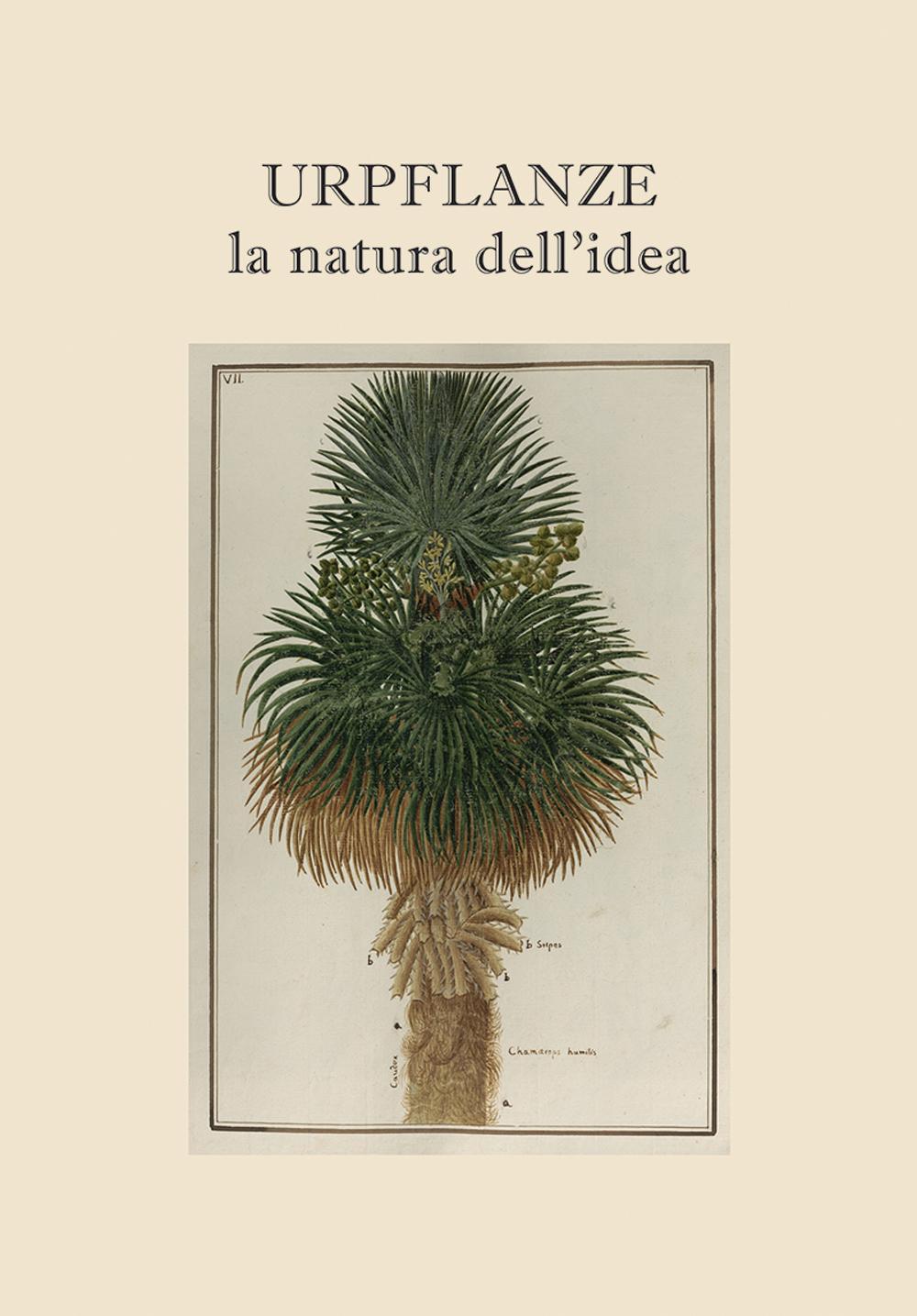Urpflanze, la natura dell'idea