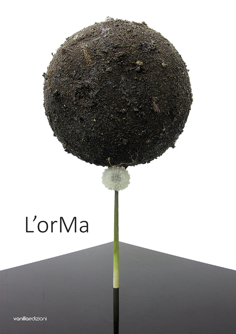 L'orMa. Alla ricerca della sorprendente bellezza