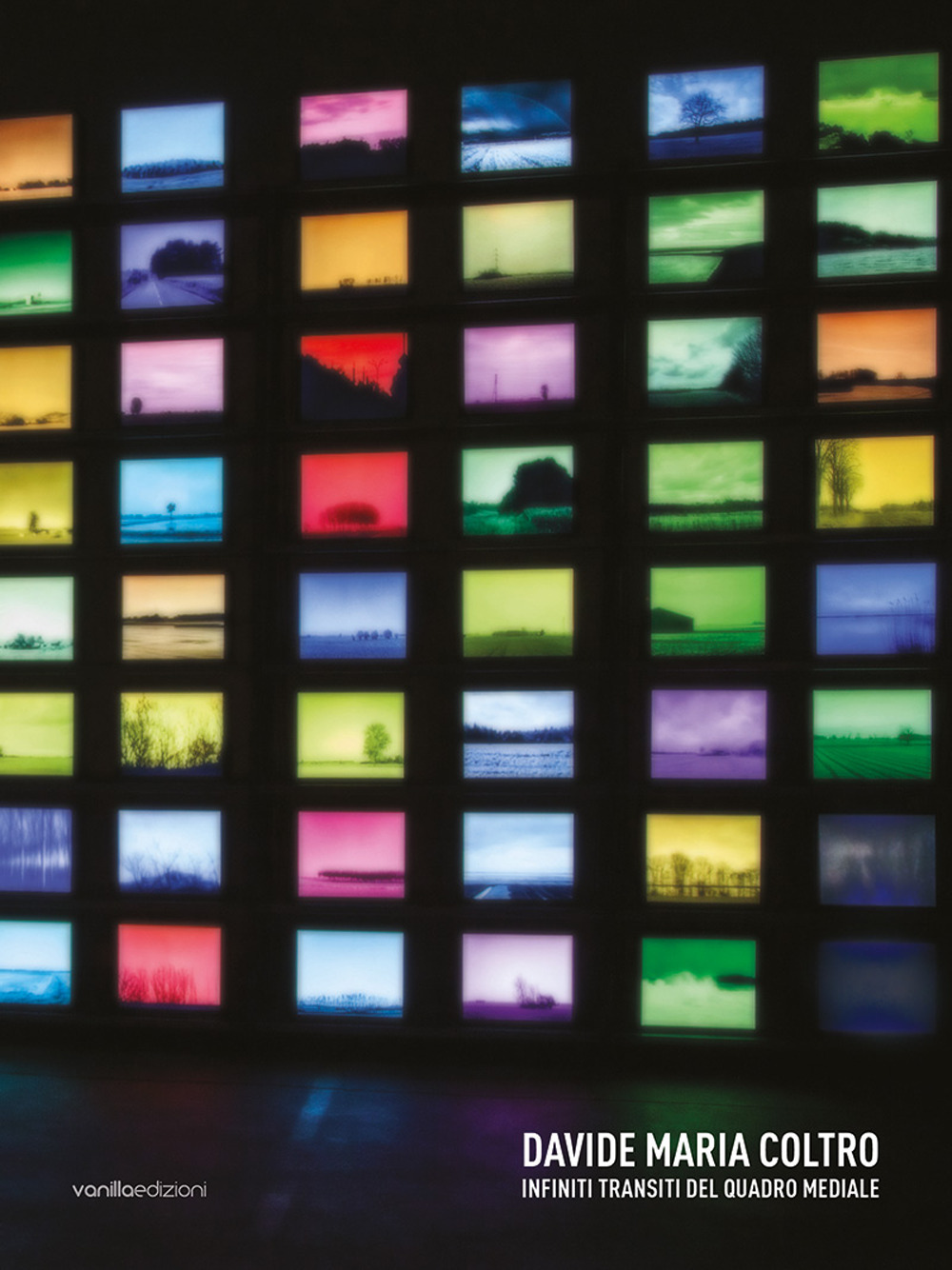 Davide Maria Coltro. Infiniti transiti del Quadro Mediale