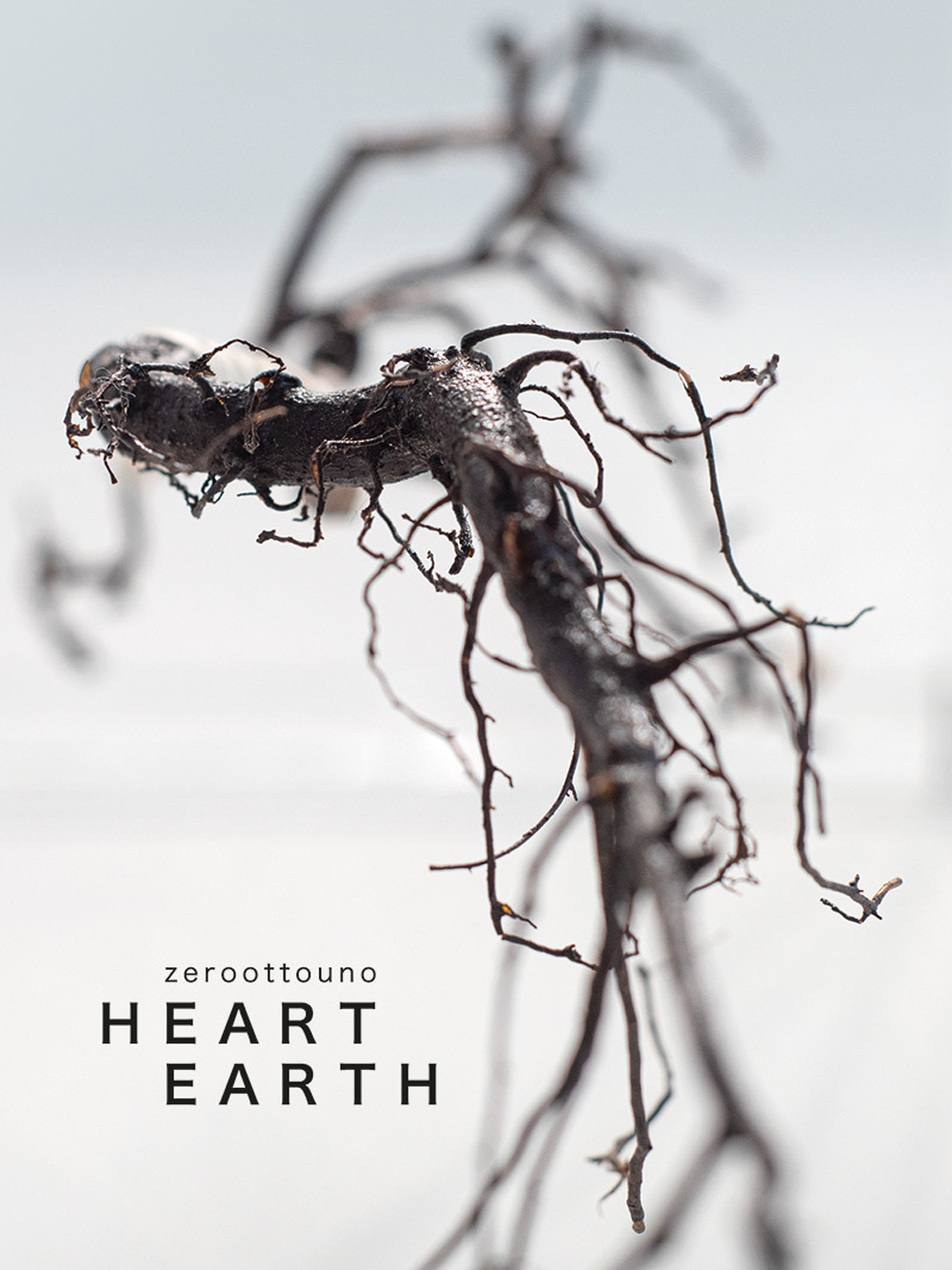 Zeroottouno. Heart/Earth. Catalogo della mostra (Fabbrica Eos, Milano, 8 settembre – 8 ottobre 2022). Ediz. italiana e inglese