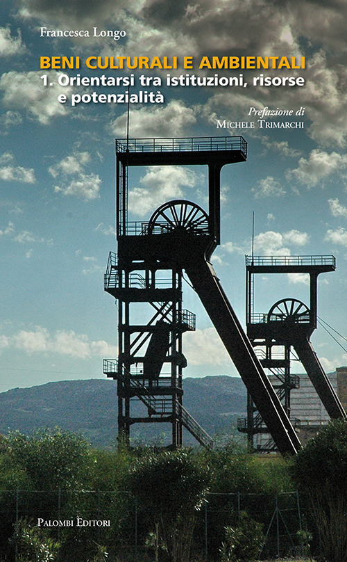 Beni culturali e ambientali. Vol. 1: Orientarsi tra istituzioni, risorse e potenzialità