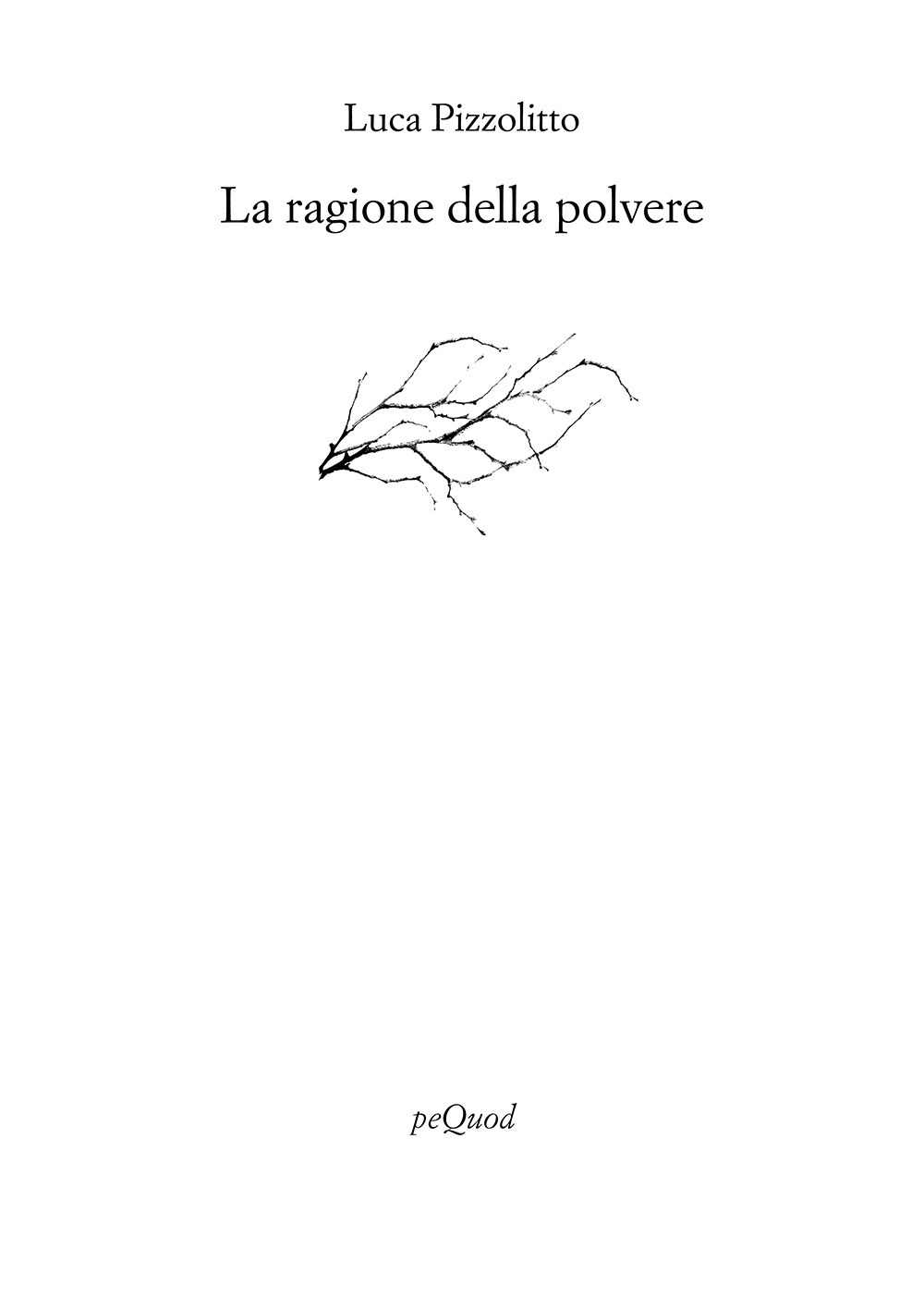 La ragione della polvere