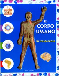 Il corpo umano in trasparenza