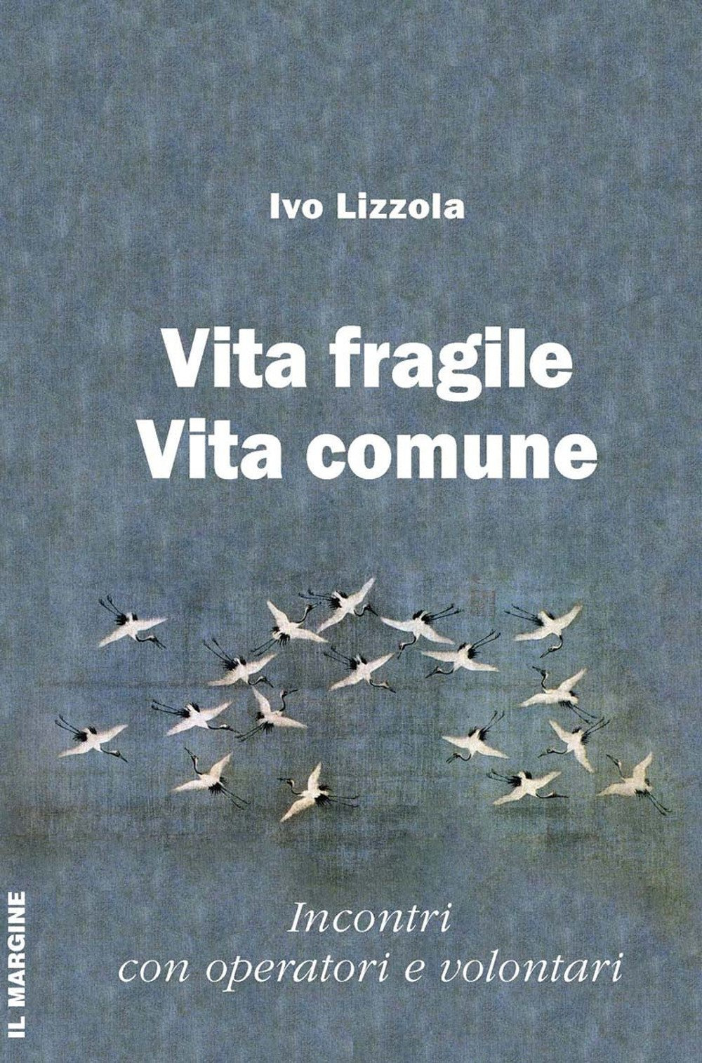 Vita fragile vita comune. Incontri con operatori e volontari