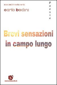 Brevi sensazioni in campo lungo