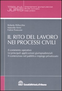 Il rito del lavoro nei processi civili