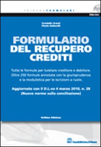 Il formulario del recupero crediti