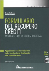 Il formulario del recupero crediti