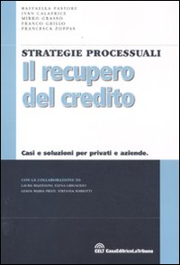 Il recupero del credito. Casi e soluzioni per privati e aziende