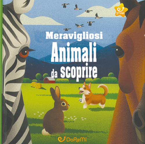 Meravigliosi animali da scoprire. Animal world
