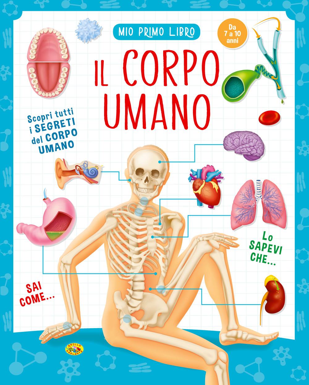 Il corpo umano