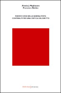Forme e crisi della norma-stato. Contributi per una critica del diritto