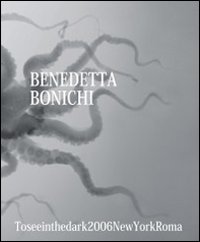 Benedetta Bonichi. To see in the dark 2006 New York Roma