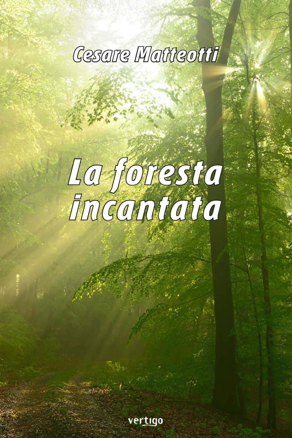 La foresta incantata