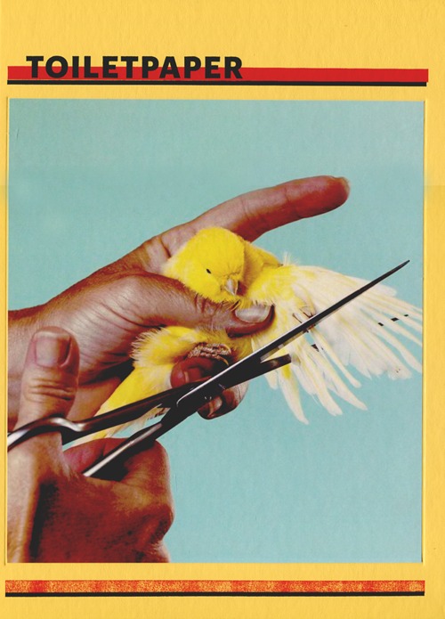 Toiletpaper. Ediz. inglese