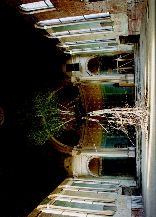 Global Tree Project. Ediz. inglese