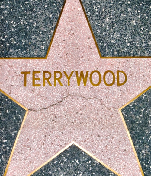 Terrywood. Ediz. inglese