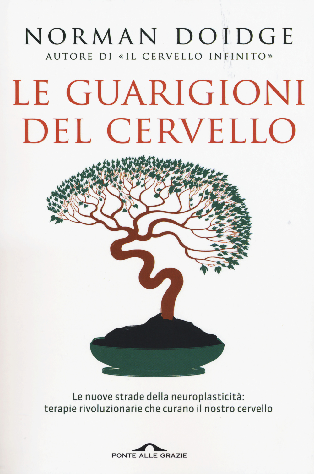 Le guarigioni del cervello. Le nuove strade della neuroplasticità: terapie rivoluzionarie che curano il nostro cervello