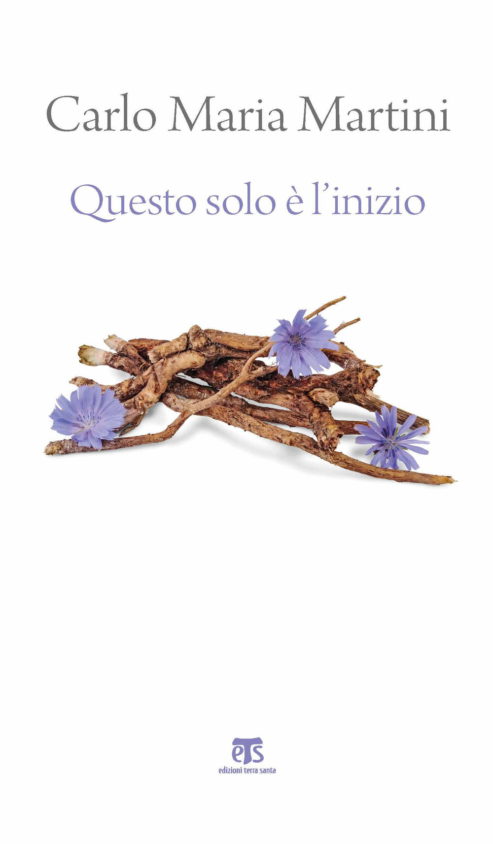 Questo solo è l'inizio. Dalla Terra Santa alla vita di ogni giorno