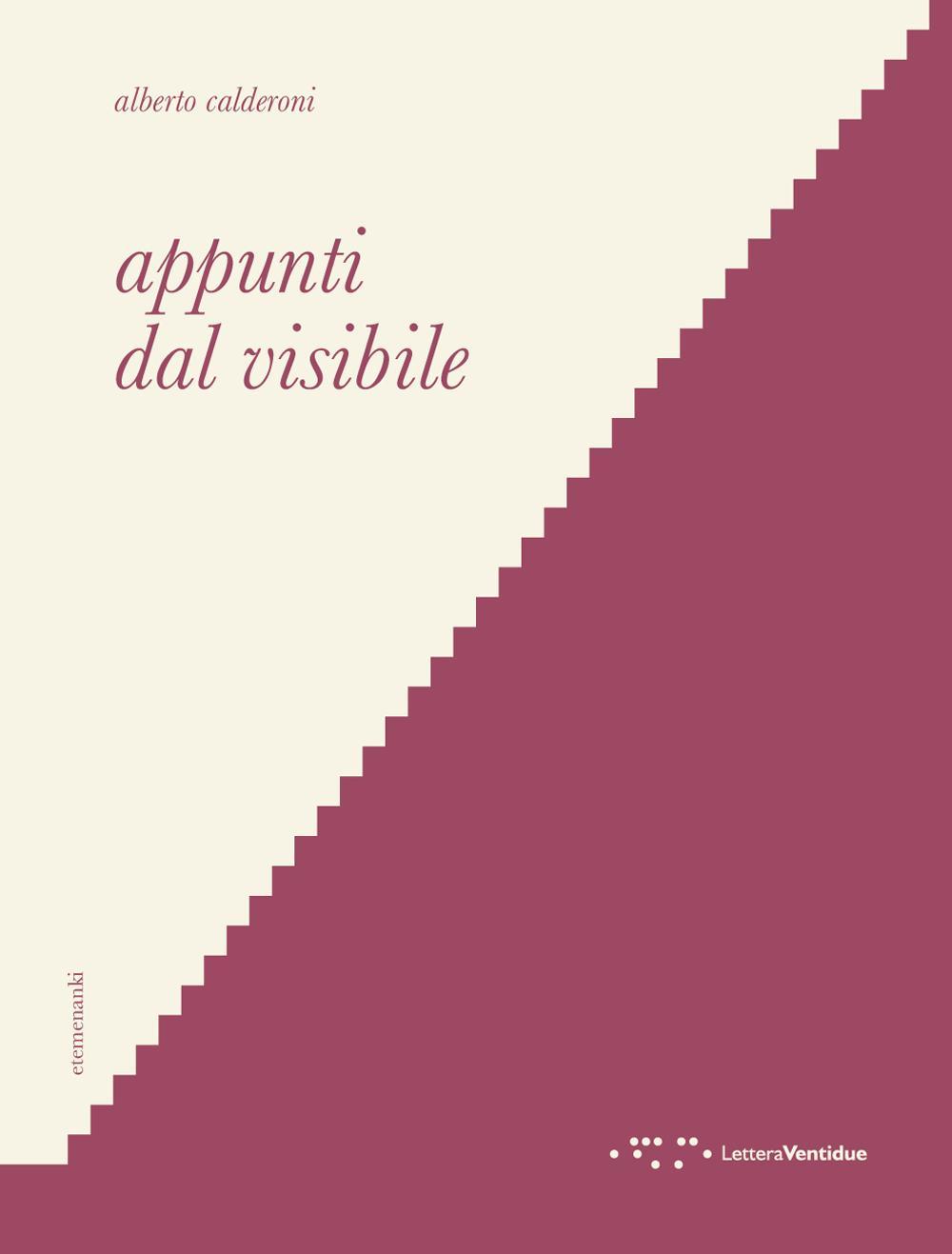 Appunti dal visibile