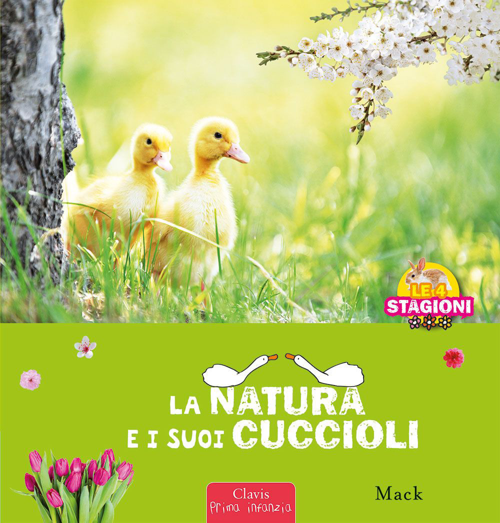 La natura e i sui cuccioli. Le 4 stagioni