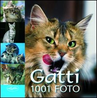 I gatti