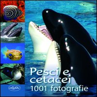 Pesci e cetacei