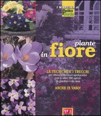 Piante in fiore