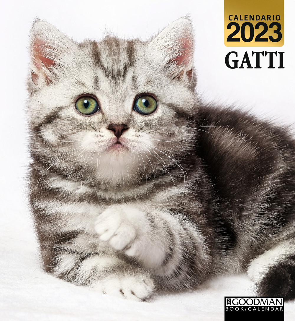Gatti. Calendario 2023. Magnum