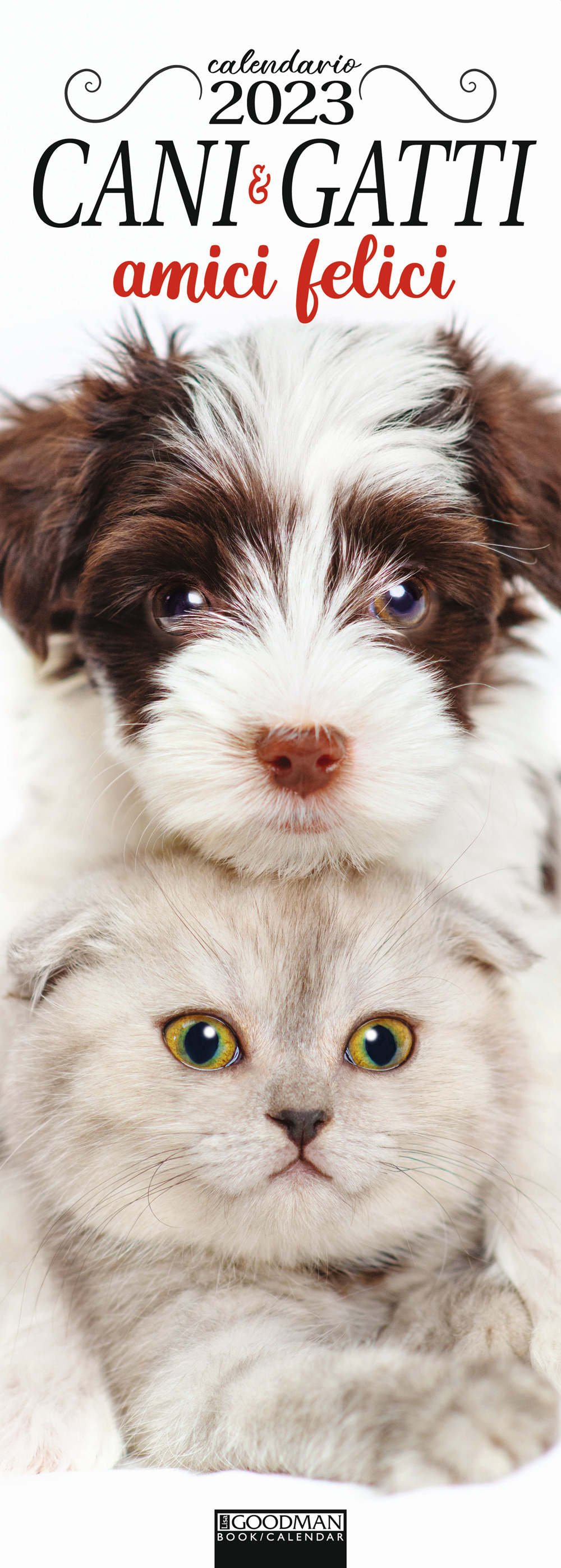 Cani & gatti amici felici. Calendario 2023. Long