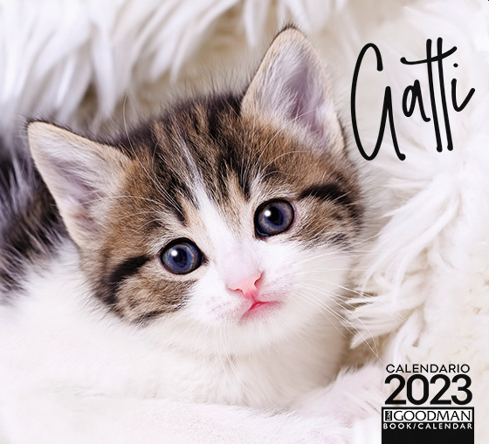 Gatti. Calendario 2023. Pocket