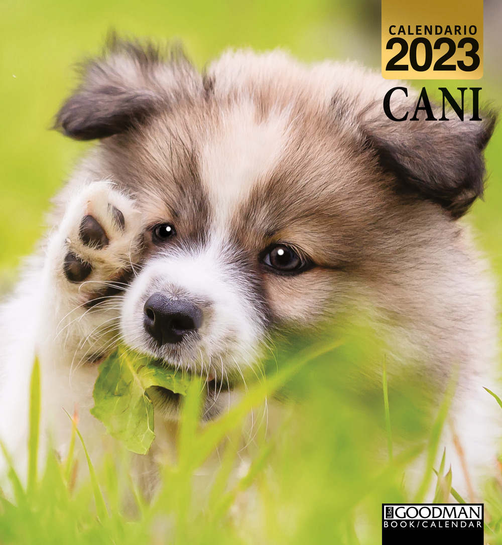 Cani. Calendario 2023. Magnum