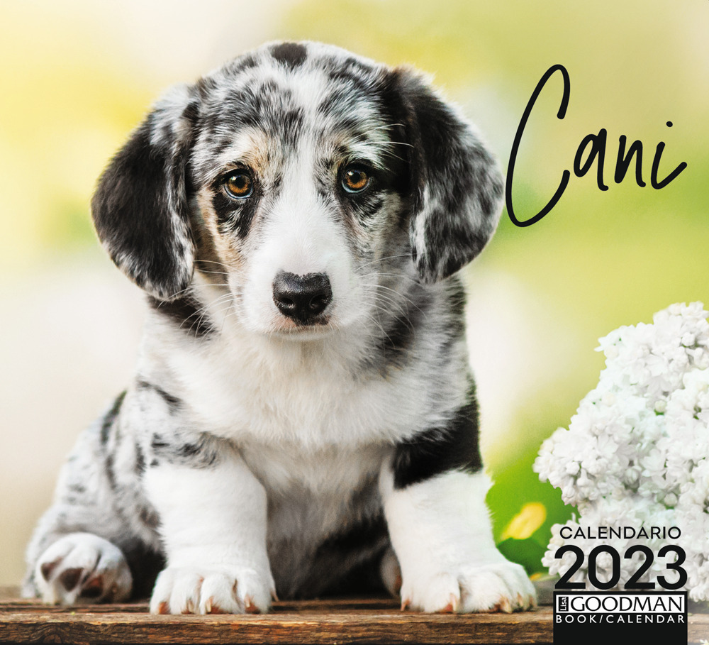 Cani. Calendario 2023. Pocket