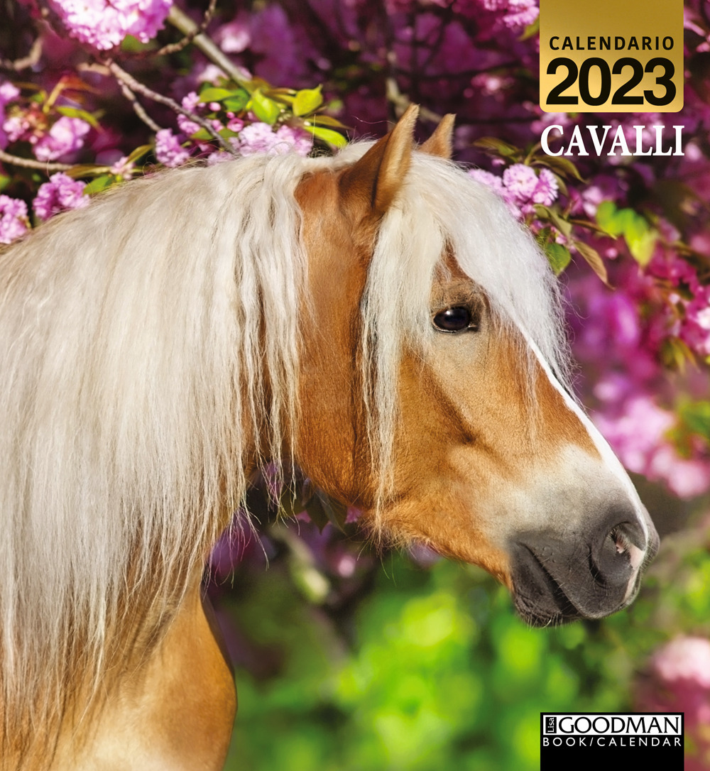 Cavalli. Calendario 2023