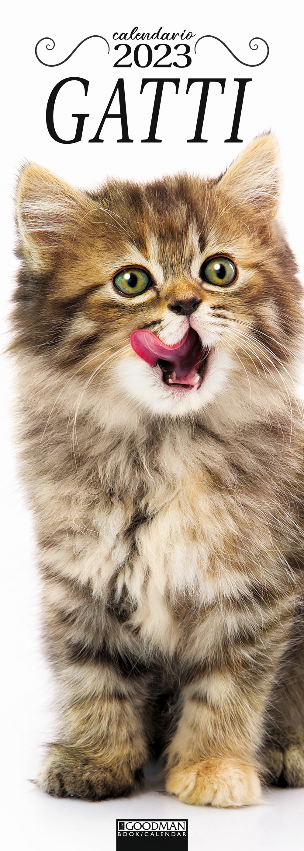 Gatti. Calendario 2023. Long