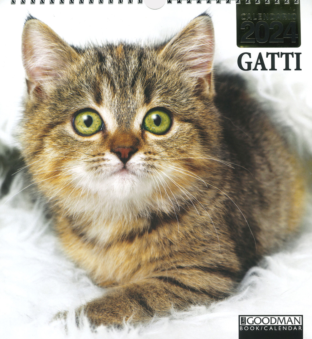 Gatti. Calendario 2024. Magnum