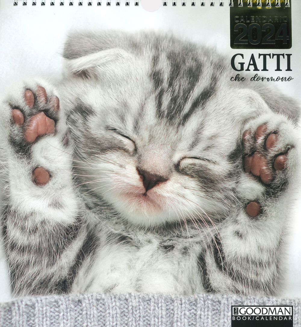 Gatti che dormono. Calendario 2024