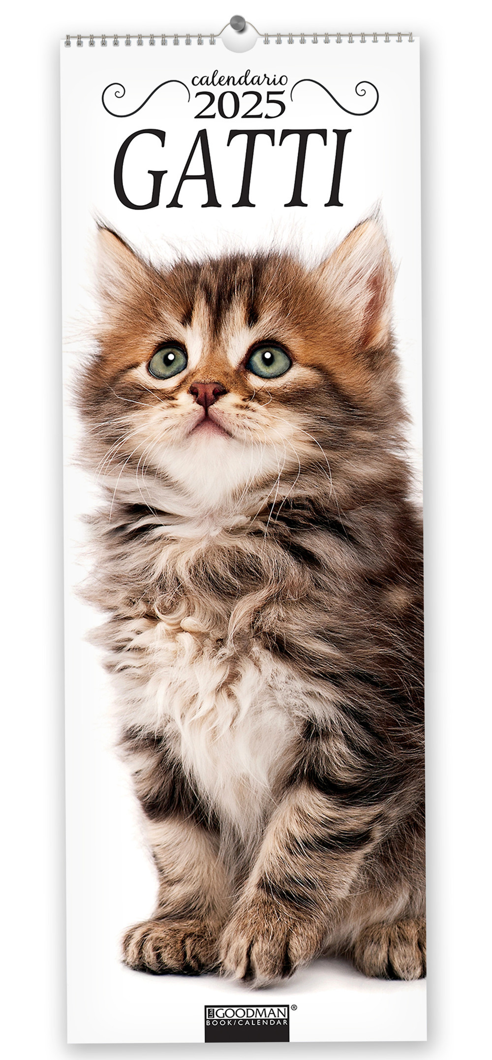 Gatti. Calendario 2025. Long