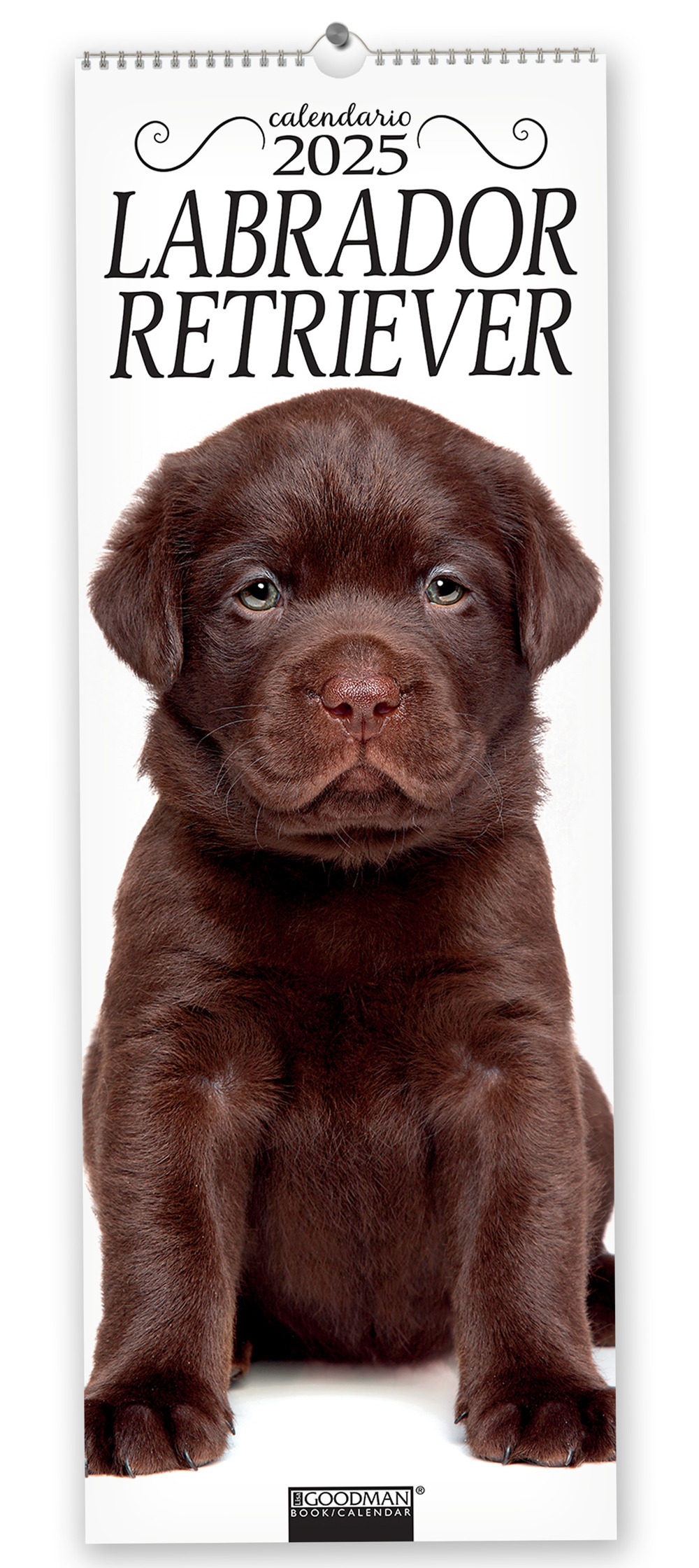 Labrador Retriever. Calendario 2025. Long