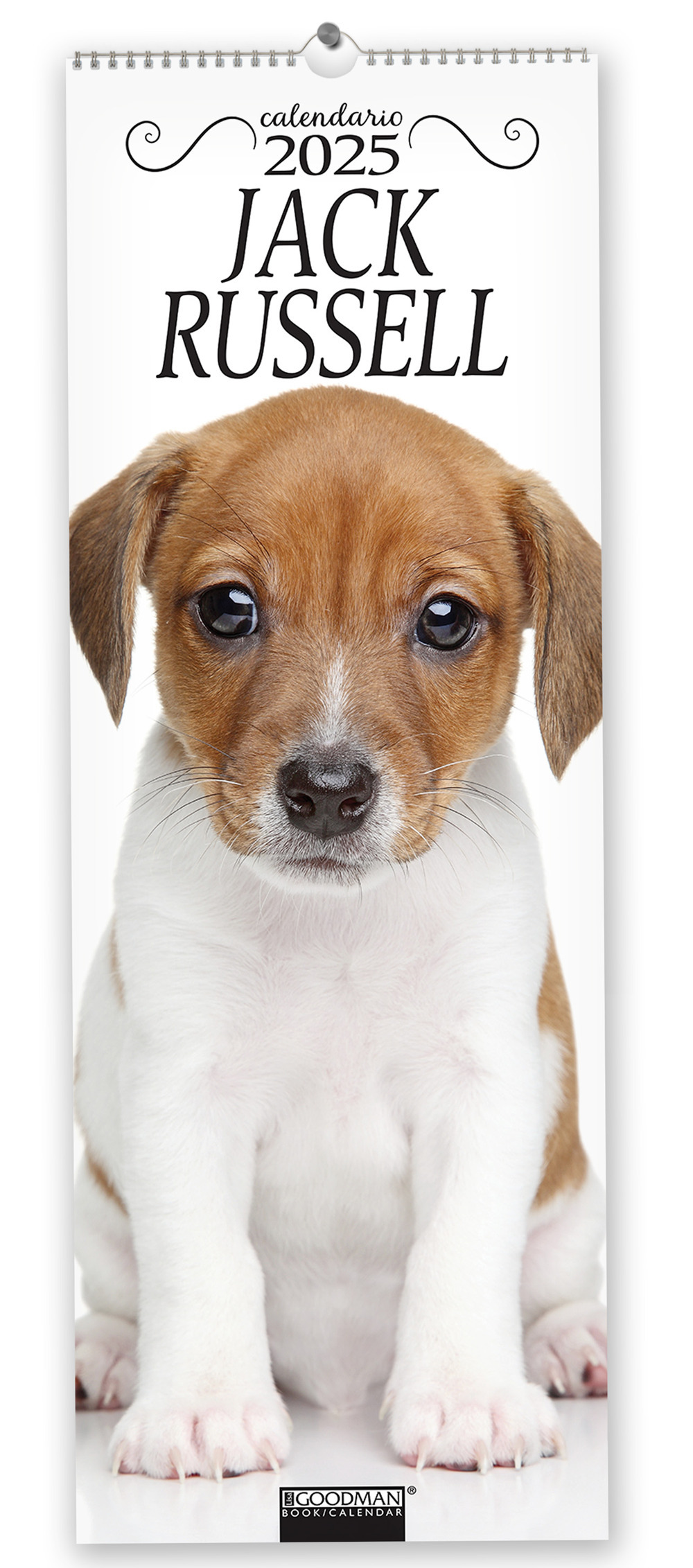 Jack Russel. Calendario 2025. Long